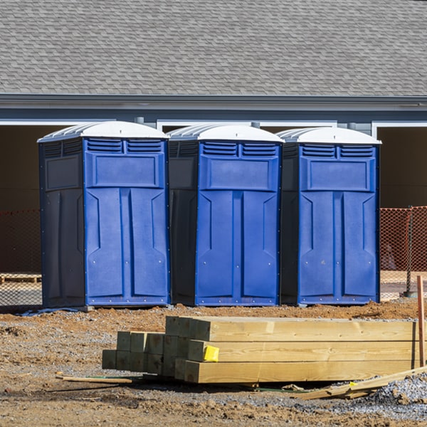 are there different sizes of portable restrooms available for rent in Lanare